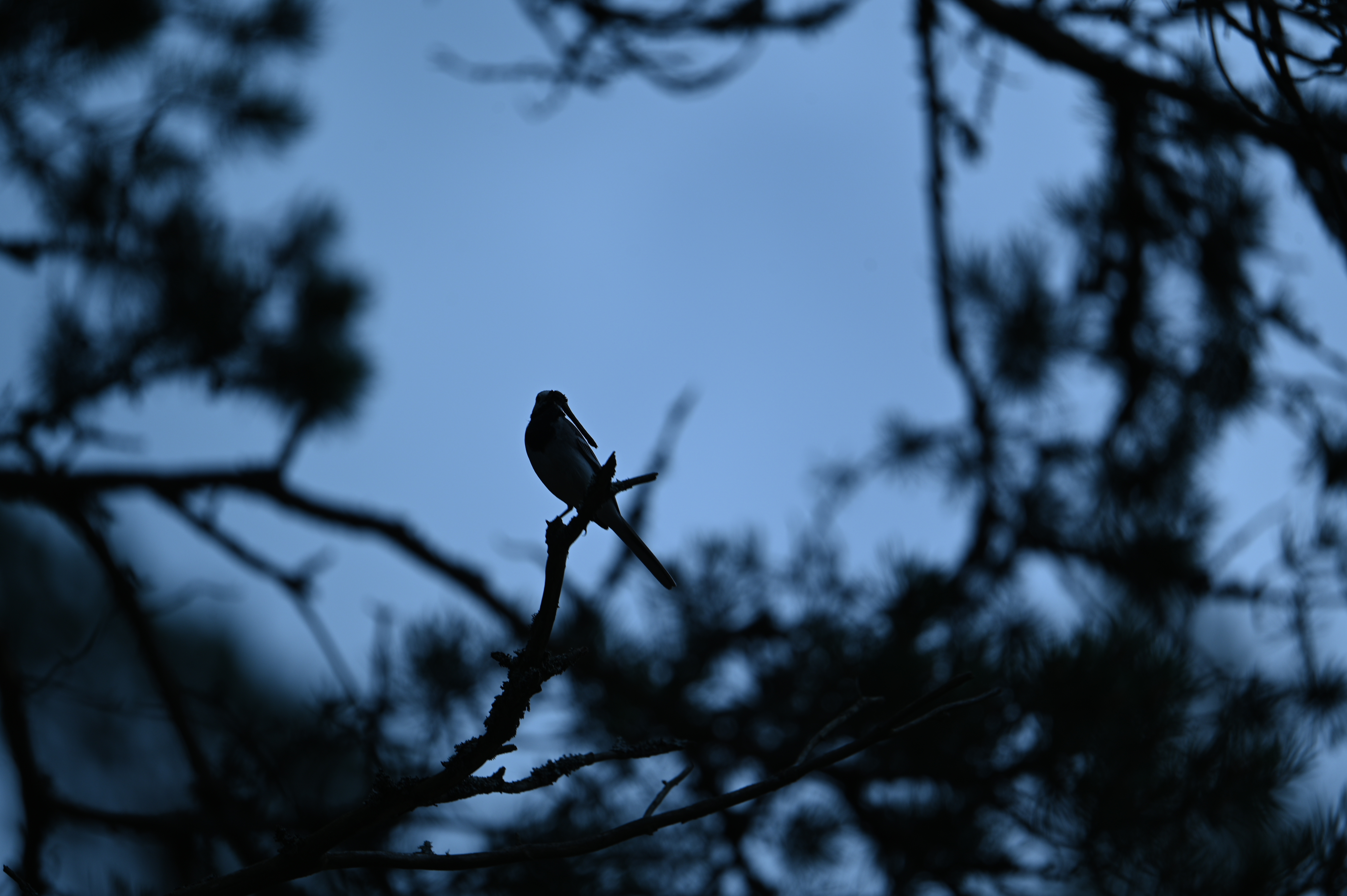 2025/07/09-14 - trip/DSC_0377.JPG